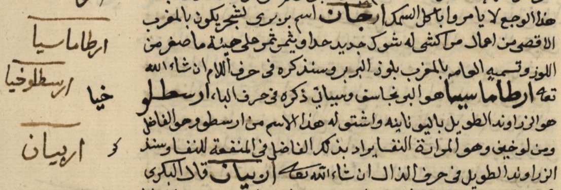 Arganolie ibn baitar